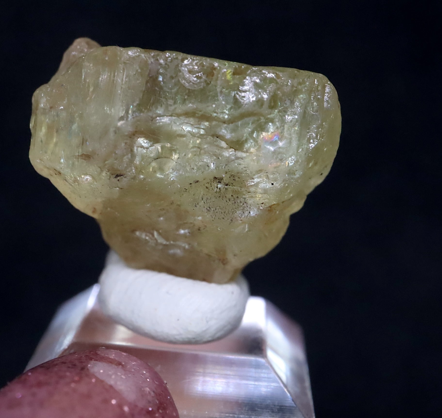 Fluorapatite(フッ素燐灰石) - 鉱物標本 Mine, Pinto 燐灰石（フッ素
