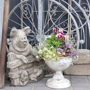 秋冬に楽しむ寄せ植え｜届いてすぐ玄関に飾れる 　ビオラあんみつももかカップ