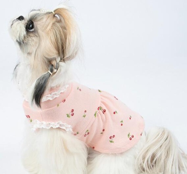 ドッグウェア　 さくらんぼ柄襟付きワンピース　ピンク　犬服