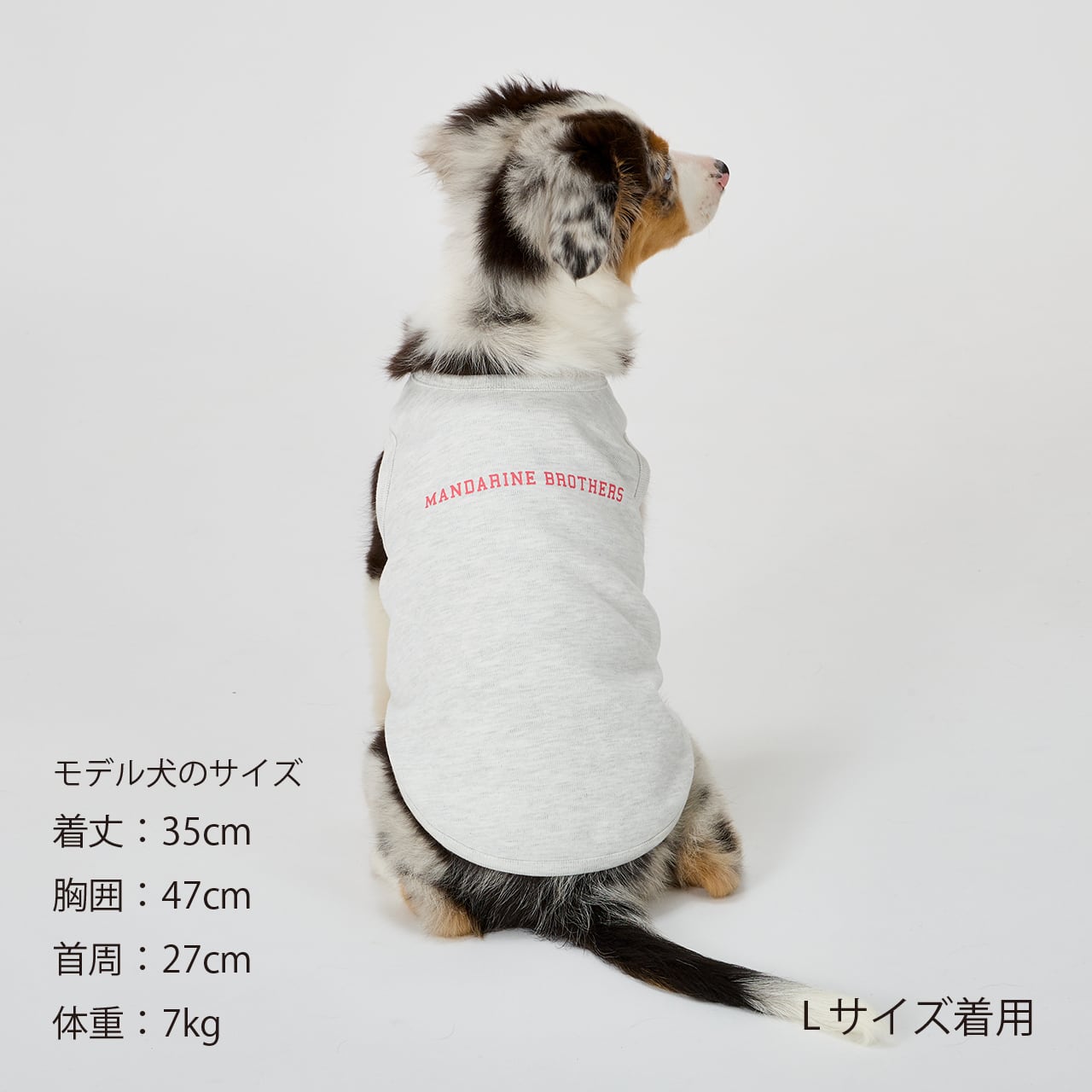 TENDER CARE T-SHIRT（M.MD.L） テンダーケアTシャツ | MANDARINE