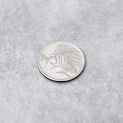 インドネシア 50ルピア コインリング|INDONESIA 50RUPIAH COINRING