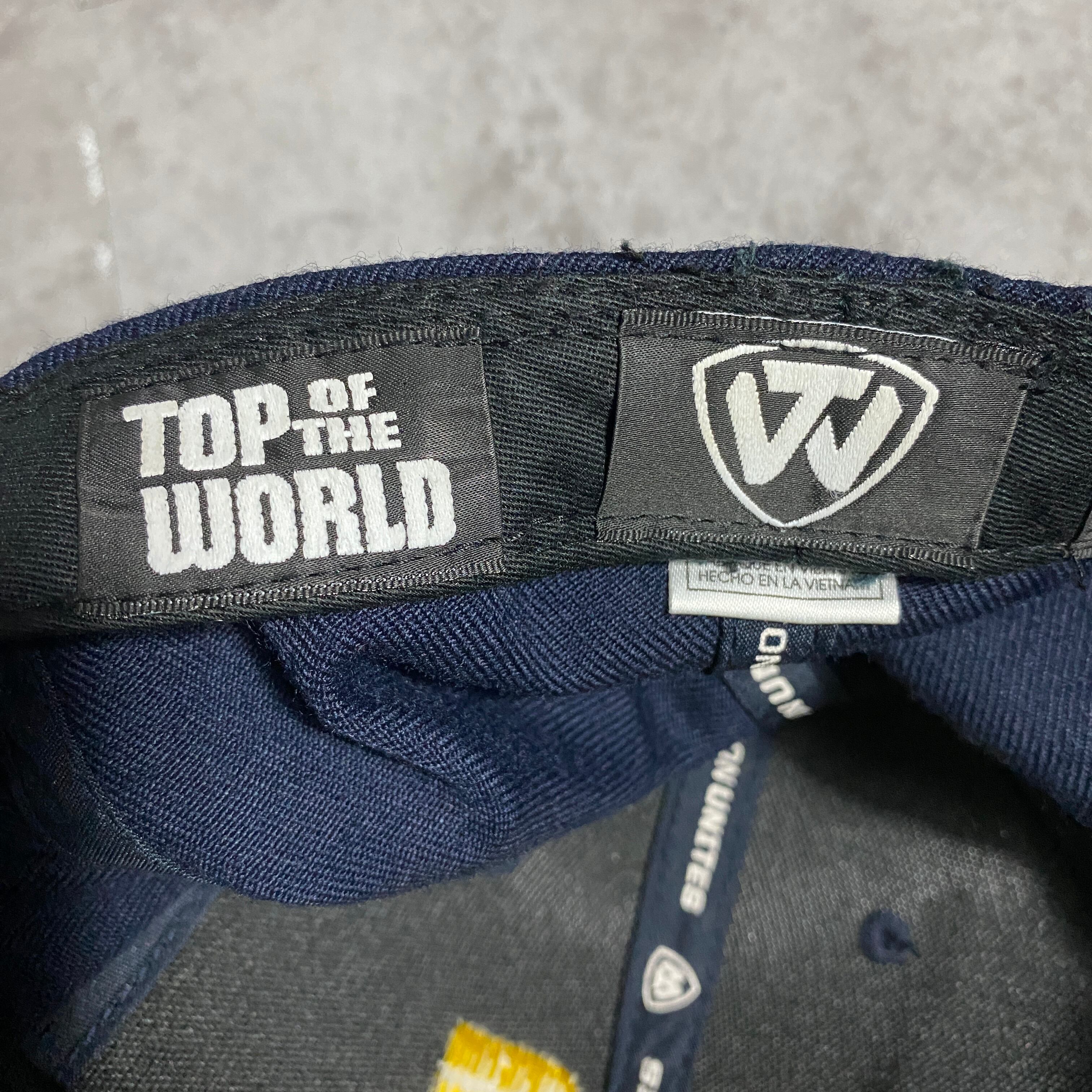 90's TOP OF THE WORLD Michigan ミシガン大学 刺繍カレッジロゴ