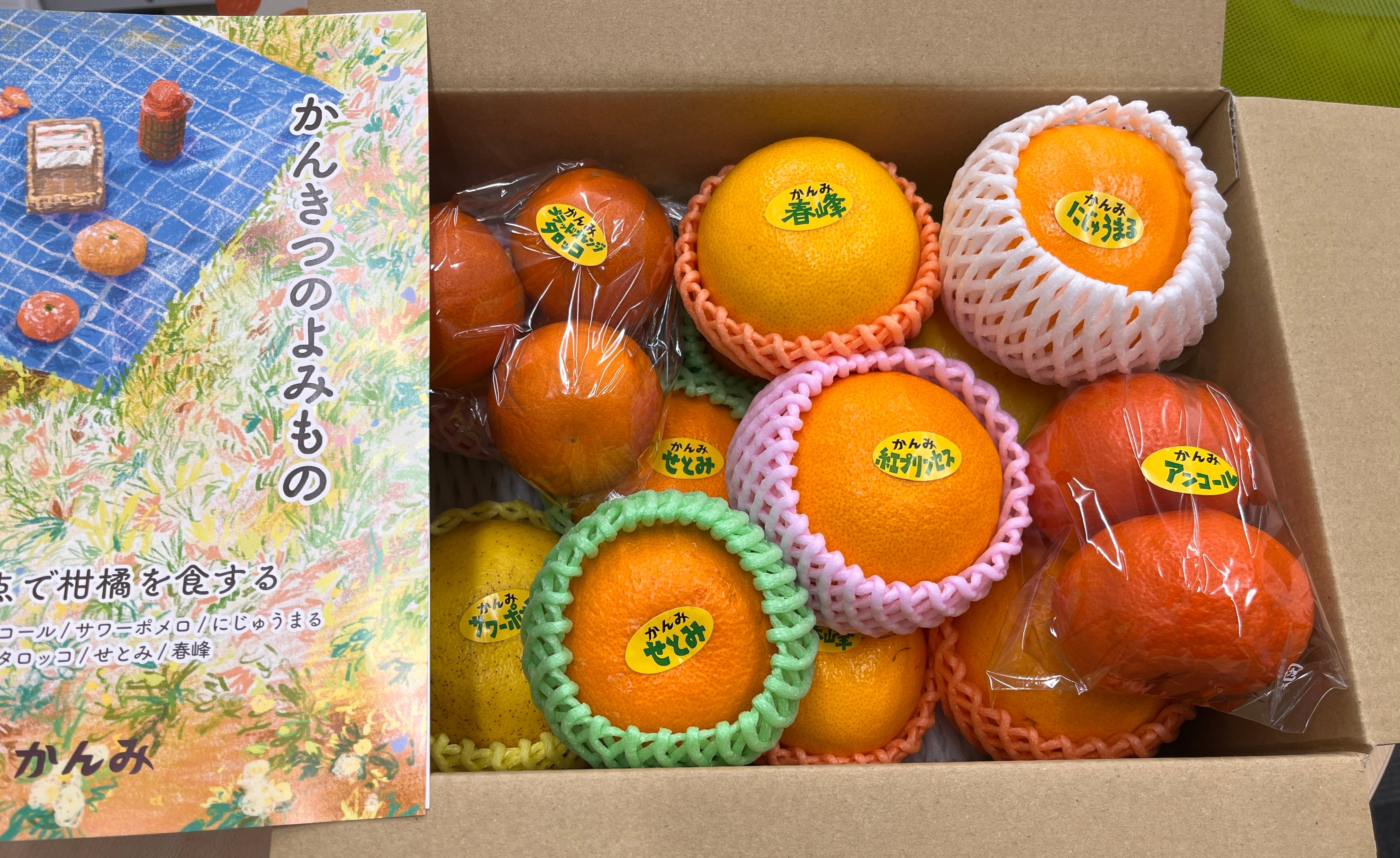 100種類お届け保証付き】かんみジャーニープラン（12ヶ月柑橘お届け