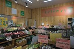 えぷろん｢国産人参詰め合わせ10kg｣※東日本の引退馬