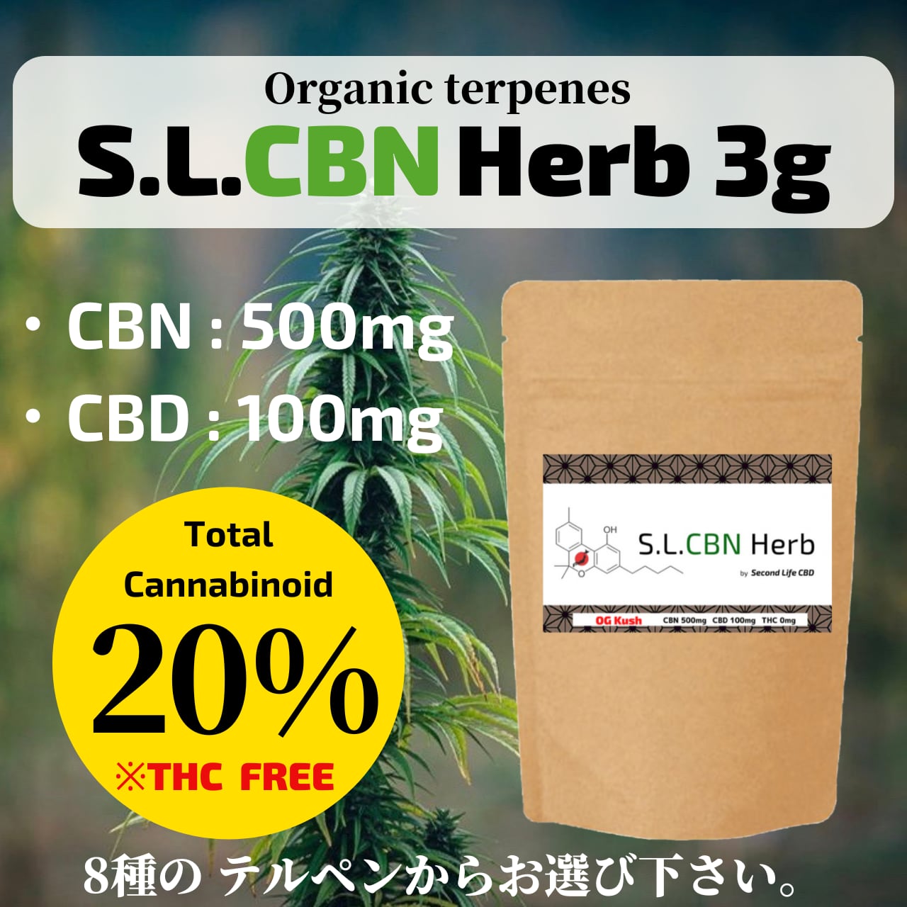 【CBNハーブ】S.L.CBN Herb 3g CBN500mg+ CBD100mg 
