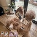 予約（海外ハンドメイド　受注製作品）【№B08583】Lulu’sBow  ストライプ柄　チュールワンピ・ベスト