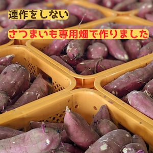 【紅はるか】干しいも B級品 MIX 箱込1kg