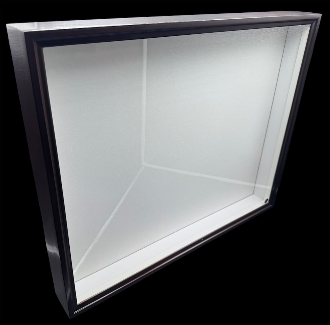 茶】バードウィング製 ドイツ型標本箱 大型BW60 | KPW公式オンライン