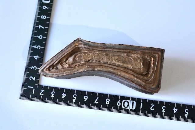 ツェサイト Tsesite 742