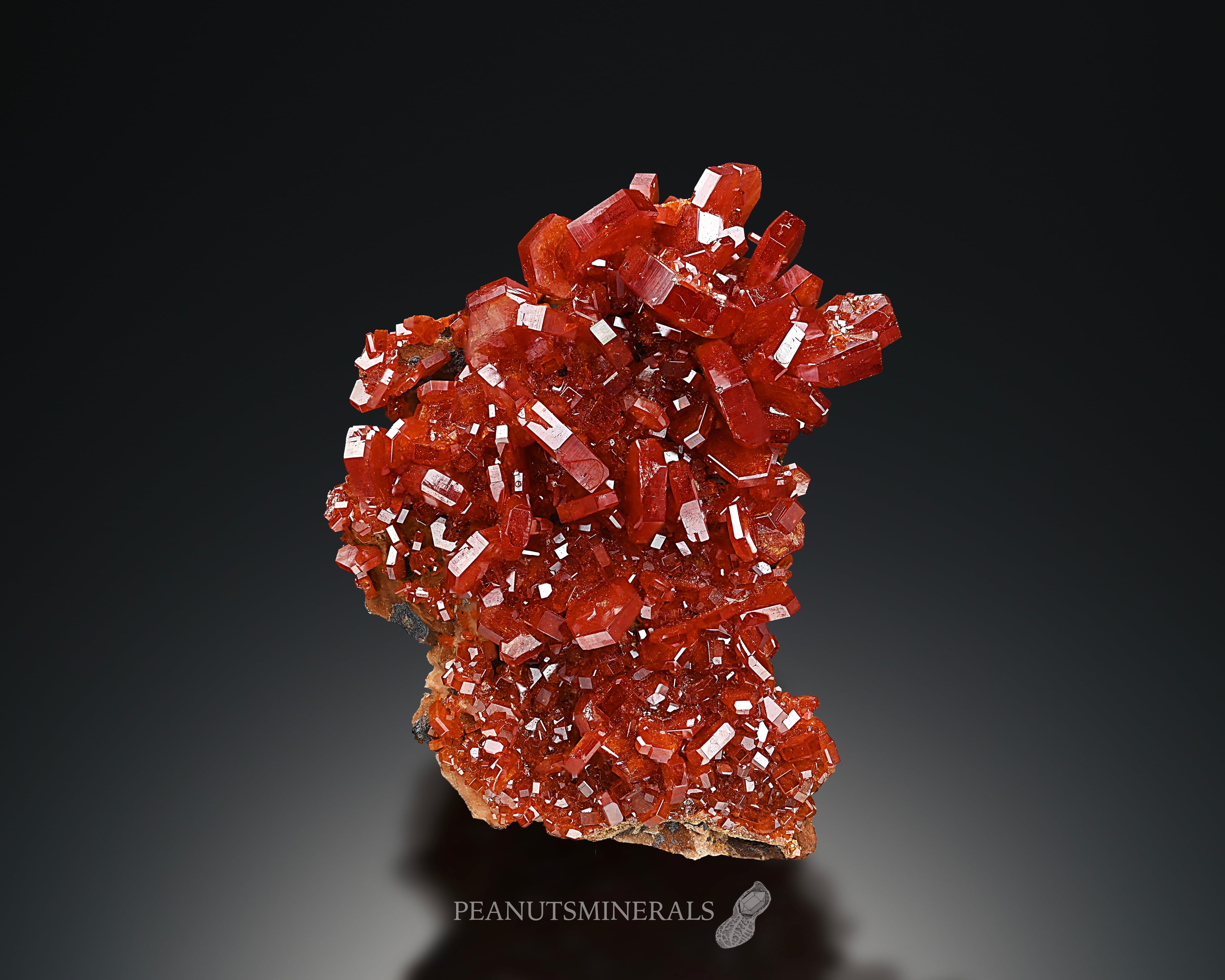 バナディナイト【Vanadinite】モロッコ産 | PEANUTS MINERALS