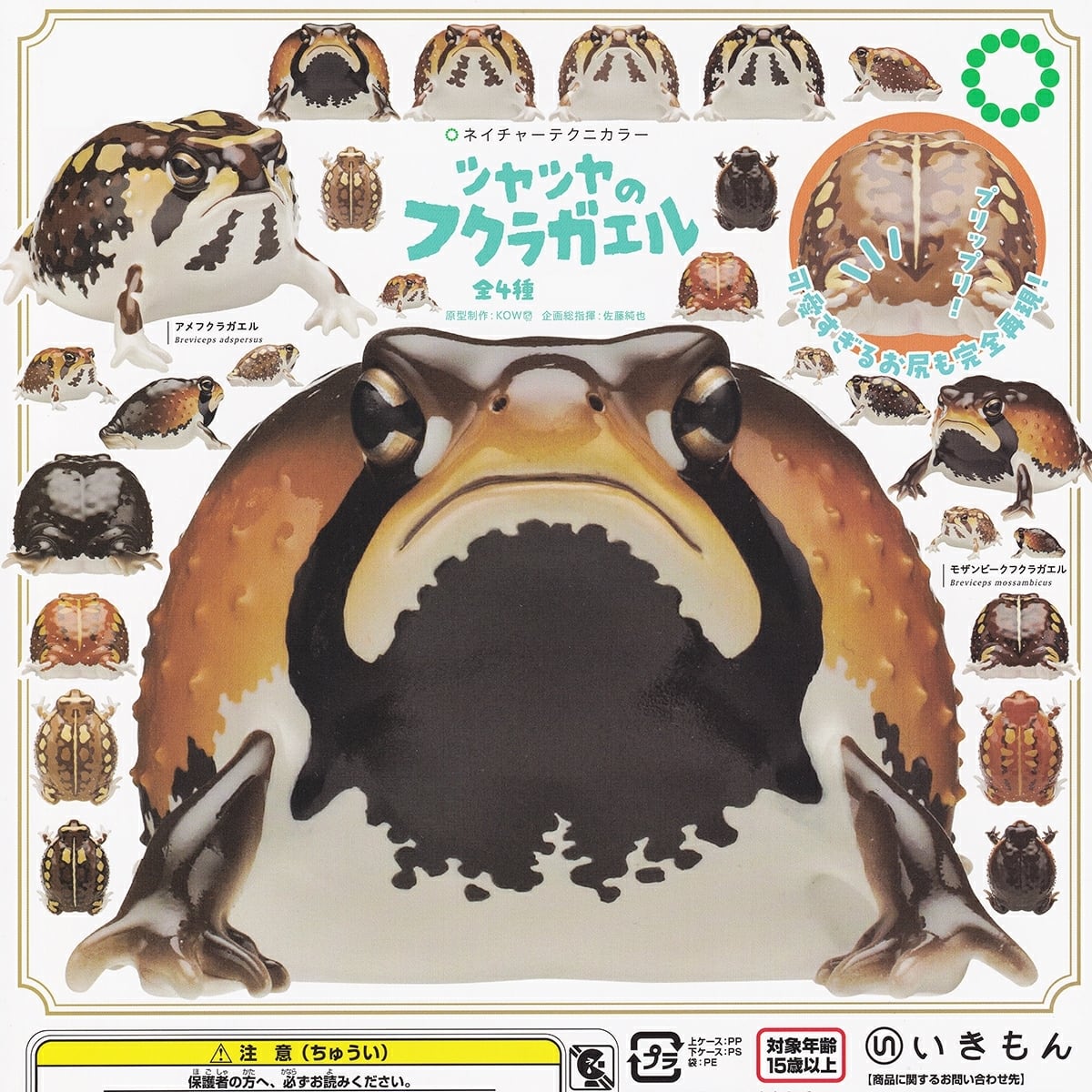 フルコンプ】 NATURE TECHNI COLOUR ツヤツヤのフクラガエル 【全4種