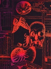 【受注商品】RumiRockセオαゆかた「ドラコニアサロン」 レッド　[A598]