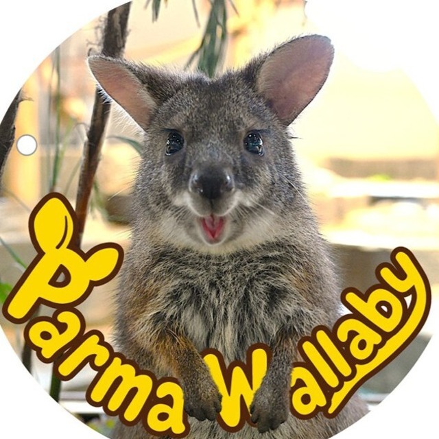 ボールチェーン　パルマワラビー