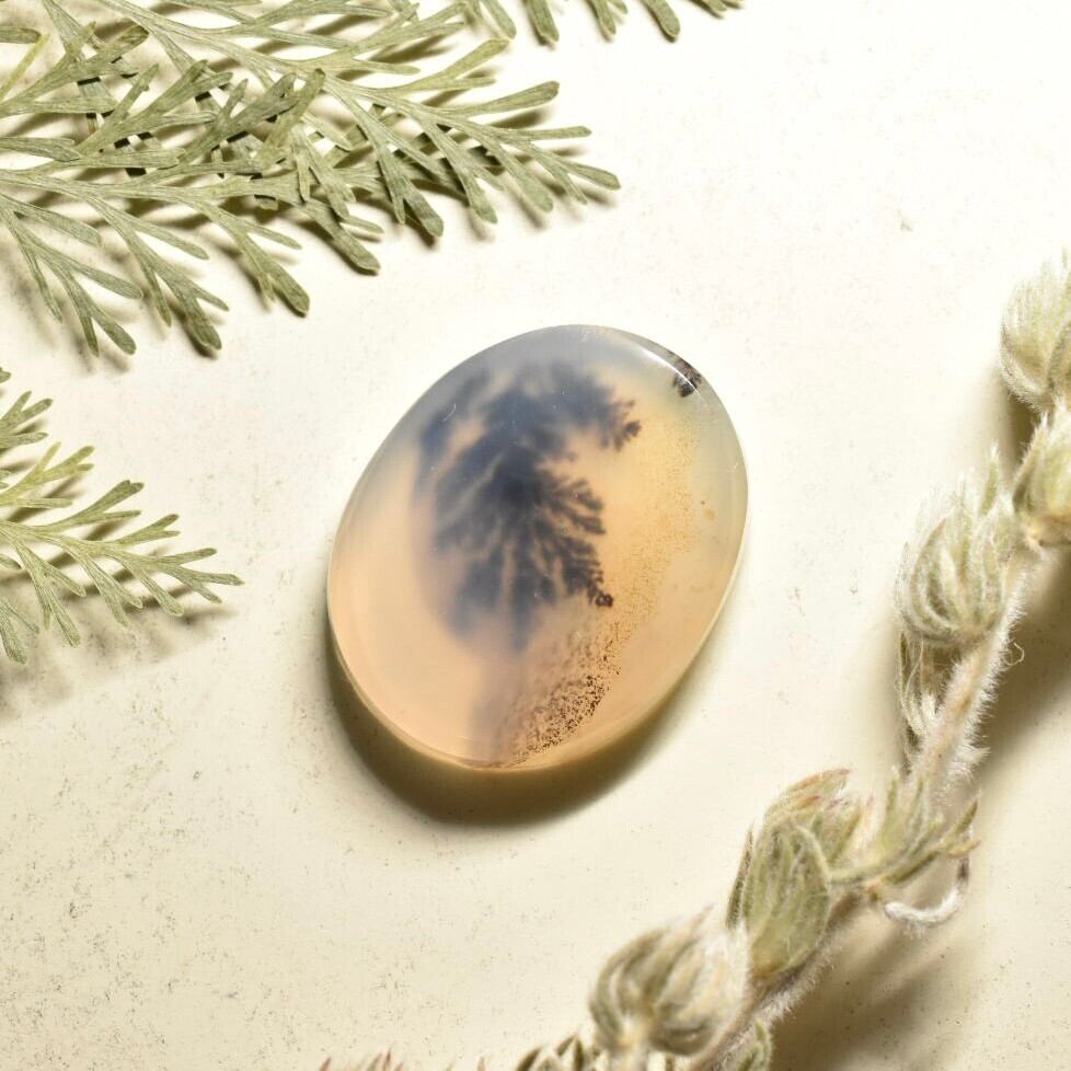 デンドリティックアゲート ルース インド産 DDA05