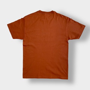 【AAA】メキシコ製 Tシャツ TEXAS 刺繍ロゴ 鳥 キャメル ライトブラウン LARGE アルスタイル US古着