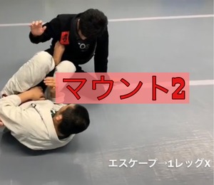 [マウント２] ツキイチセミナーテクニック動画