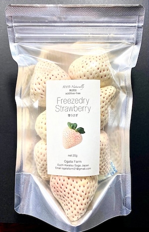 FreezedryStrawberry 雪うさぎ