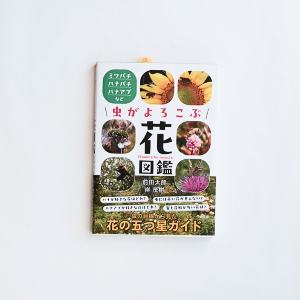 虫がよろこぶ花図鑑 ミツバチ・ハナバチ・ハナアブなど | MENDEL