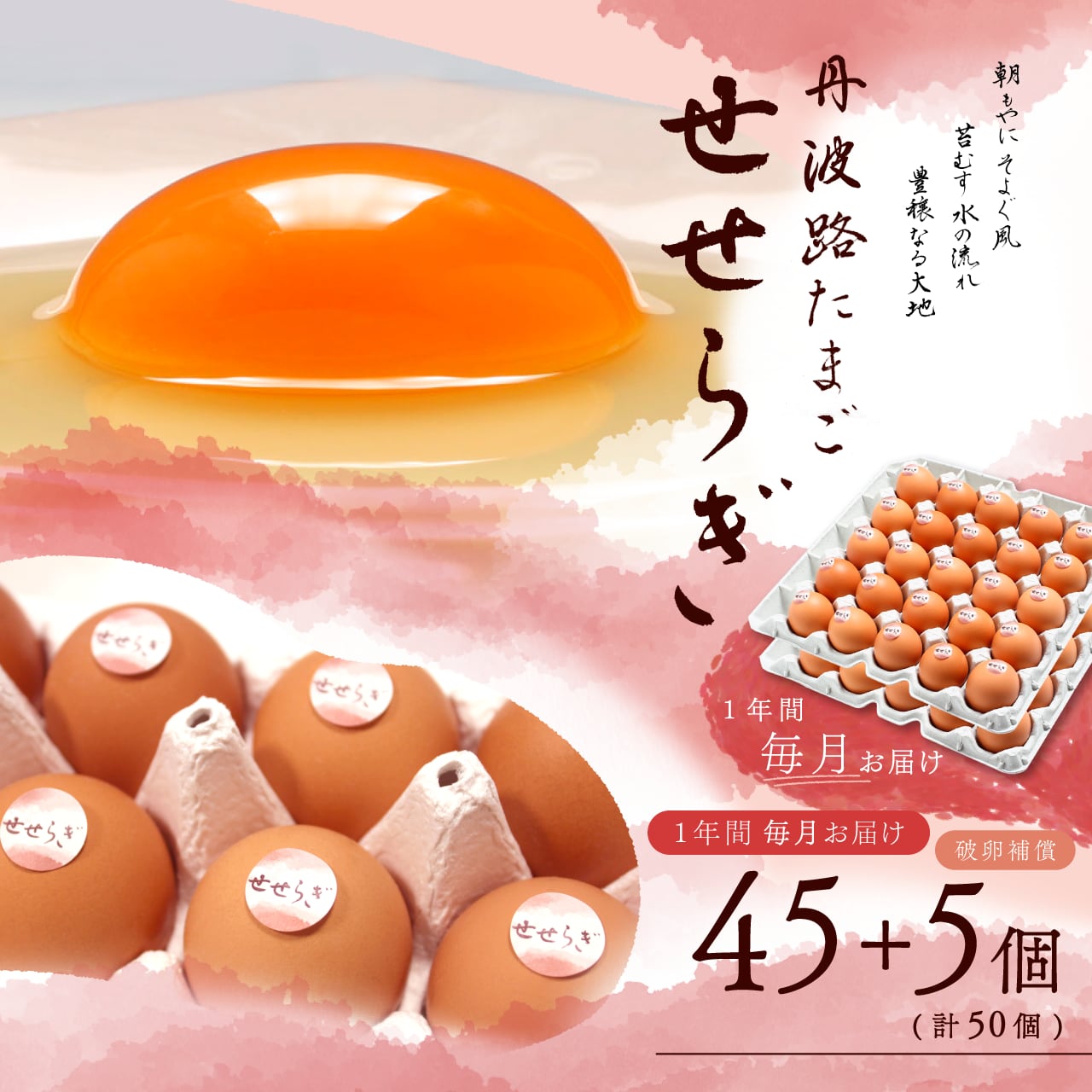 丹波路たまご せせらぎ 45個＋5個破卵補償（計50個）～1年間毎月お届け～