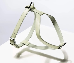 ST ARGO HARNESS - Sage