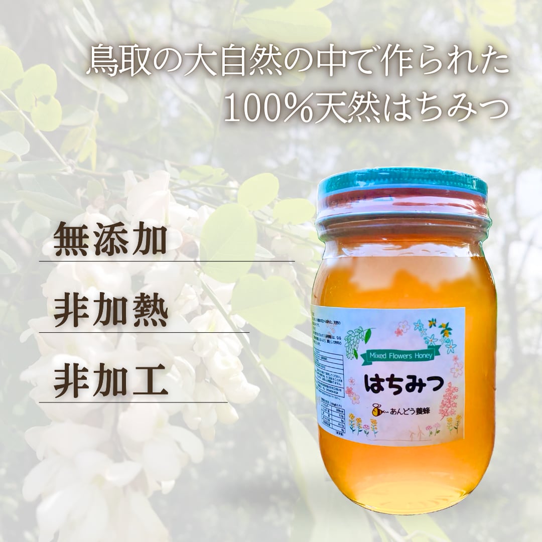 日本みつばちのハチミツ 600g瓶 2個のセット 公式通販 日本ミツバチ