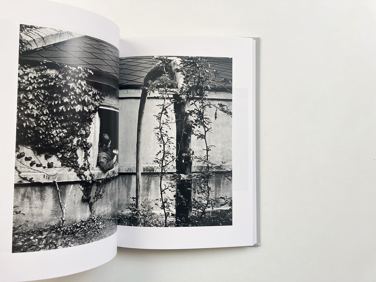 奈良原一高 Ikko Narahara | 王国 | 翠ブックス | suibooks | 古書古本