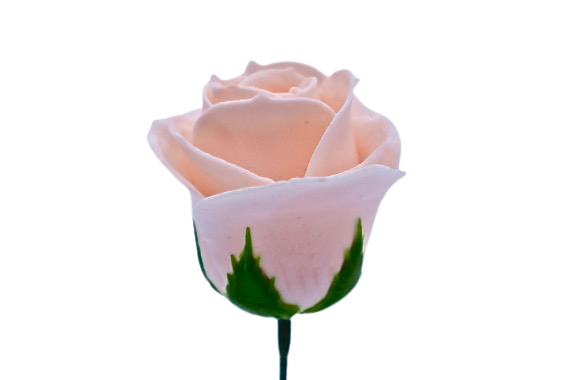 パステルバラT-P1 薄ピーチ (15輪入りor25輪入り)