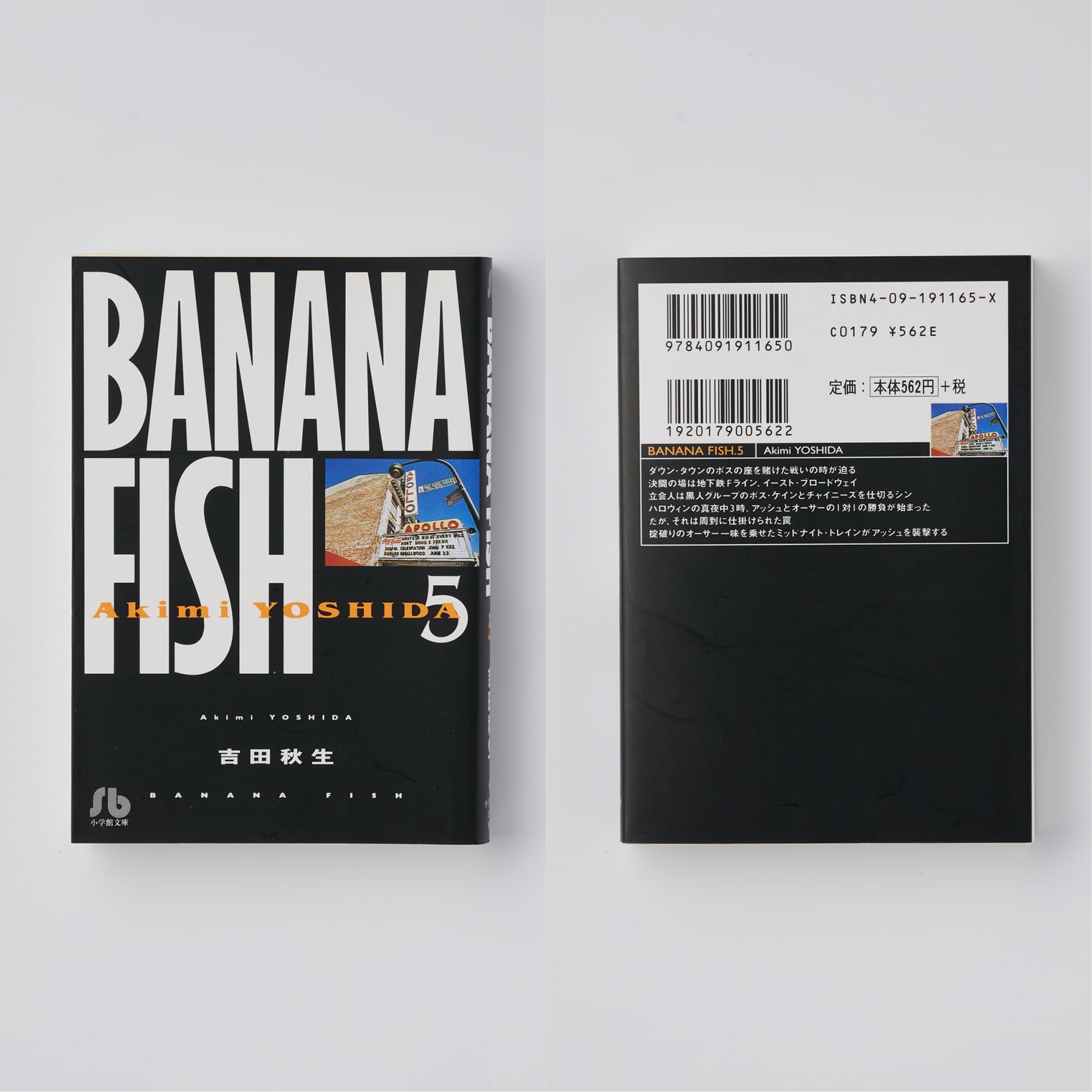 BANANA FISH（文庫版）全11巻 ＋ ANOTHER STORY｜吉田秋生 | HOTOBOLI