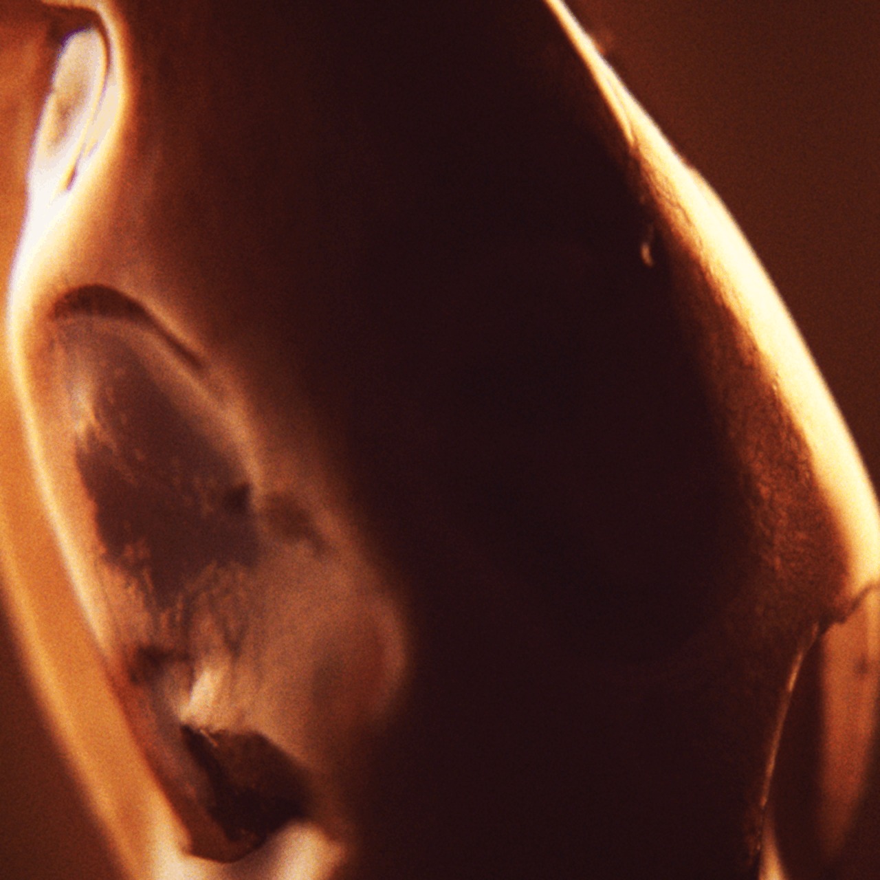 LANNOSEA｜ブーディカ ザ ヴィクトリアス ピュアパルファン ラノシア