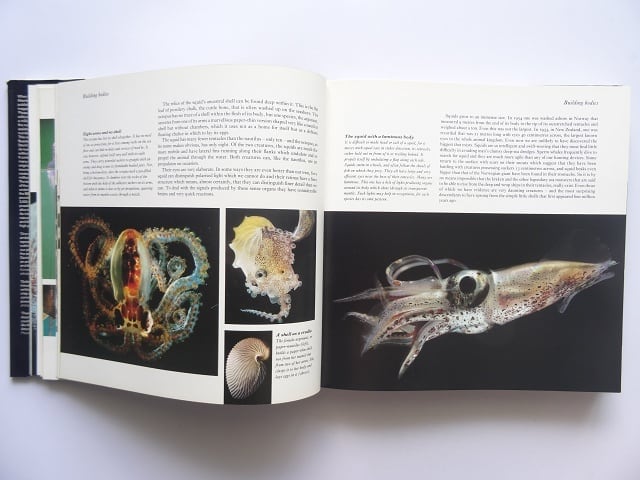 洋書◆地球上の生命写真集 本 BBC 洋書◇地球上の生命写真集 本 BBC | 洋書堂