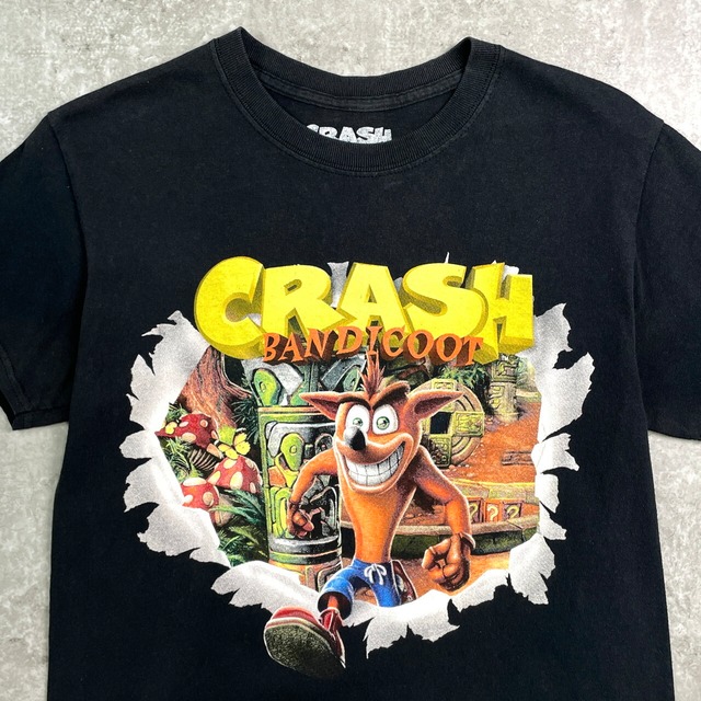 CRASH BANDICOOT クラッシュ バンディクー ゲーム キャラクター