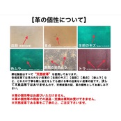 ウォッチブレス マーシャル パイソン