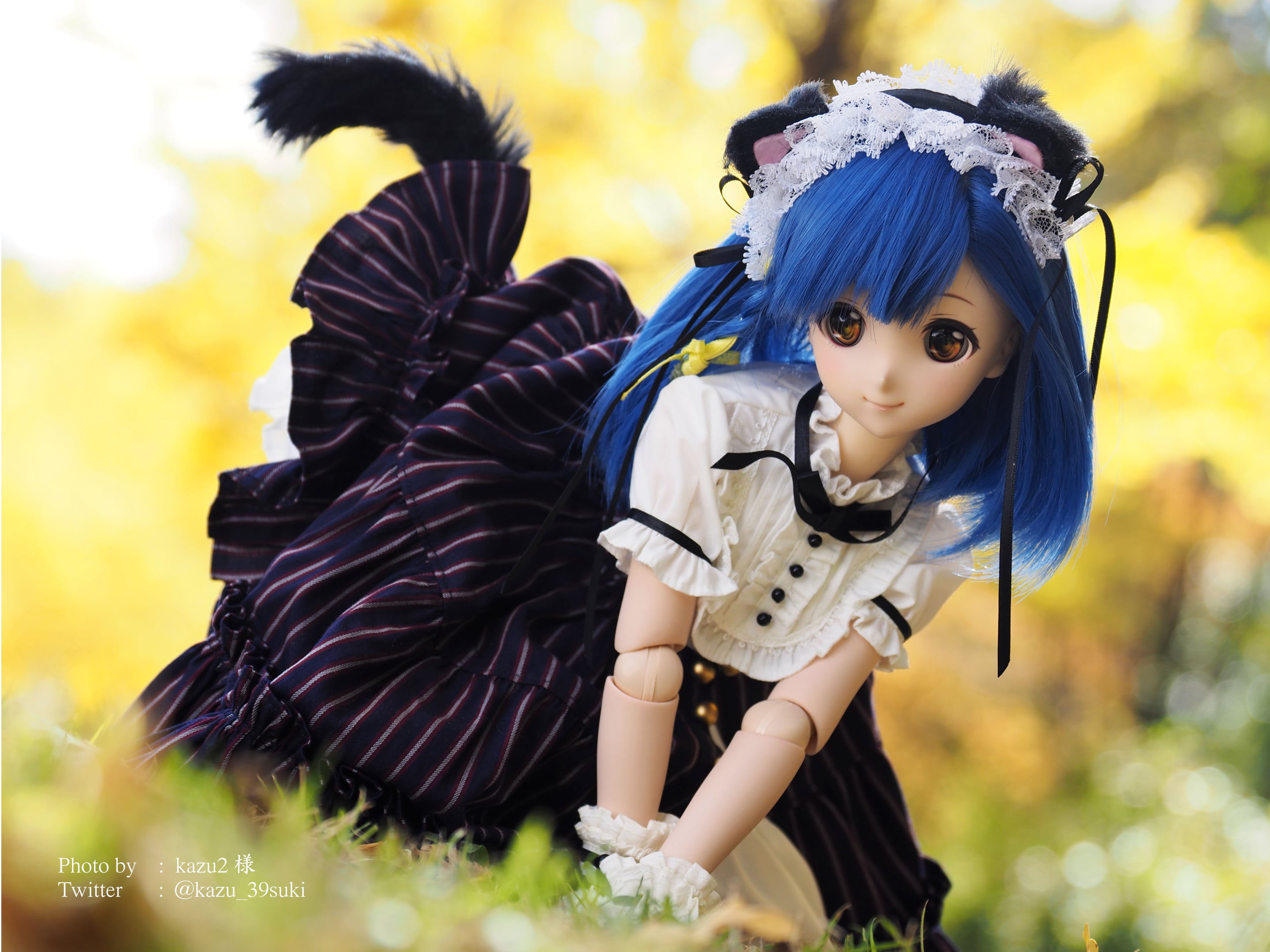 DD / DDS / Smart Doll対応OF【はじめてのおしゃまセット（ブラック