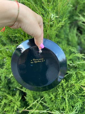 ペトリキウカ塗りのプレート（ホロベッツ）20cm