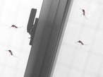 虫よけネット 網戸 ネット 窓用 防虫ネット 130×150cm マジックテープ式 取付簡単 穴あけ不要 DIY 網戸代用 換気 虫対策 蚊 ハエ ポリエステル　cw-a-5361