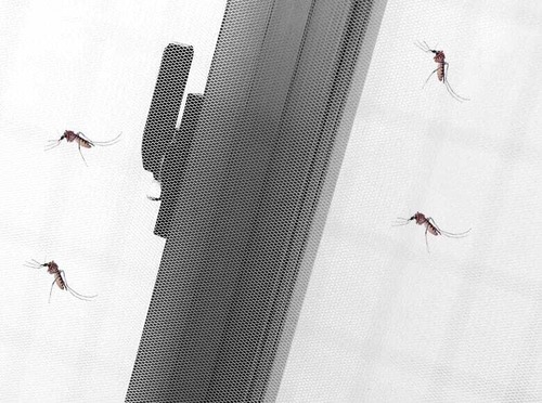 虫よけネット 網戸 ネット 窓用 防虫ネット 130×150cm マジックテープ式 取付簡単 穴あけ不要 DIY 網戸代用 換気 虫対策 蚊 ハエ ポリエステル　cw-a-5361