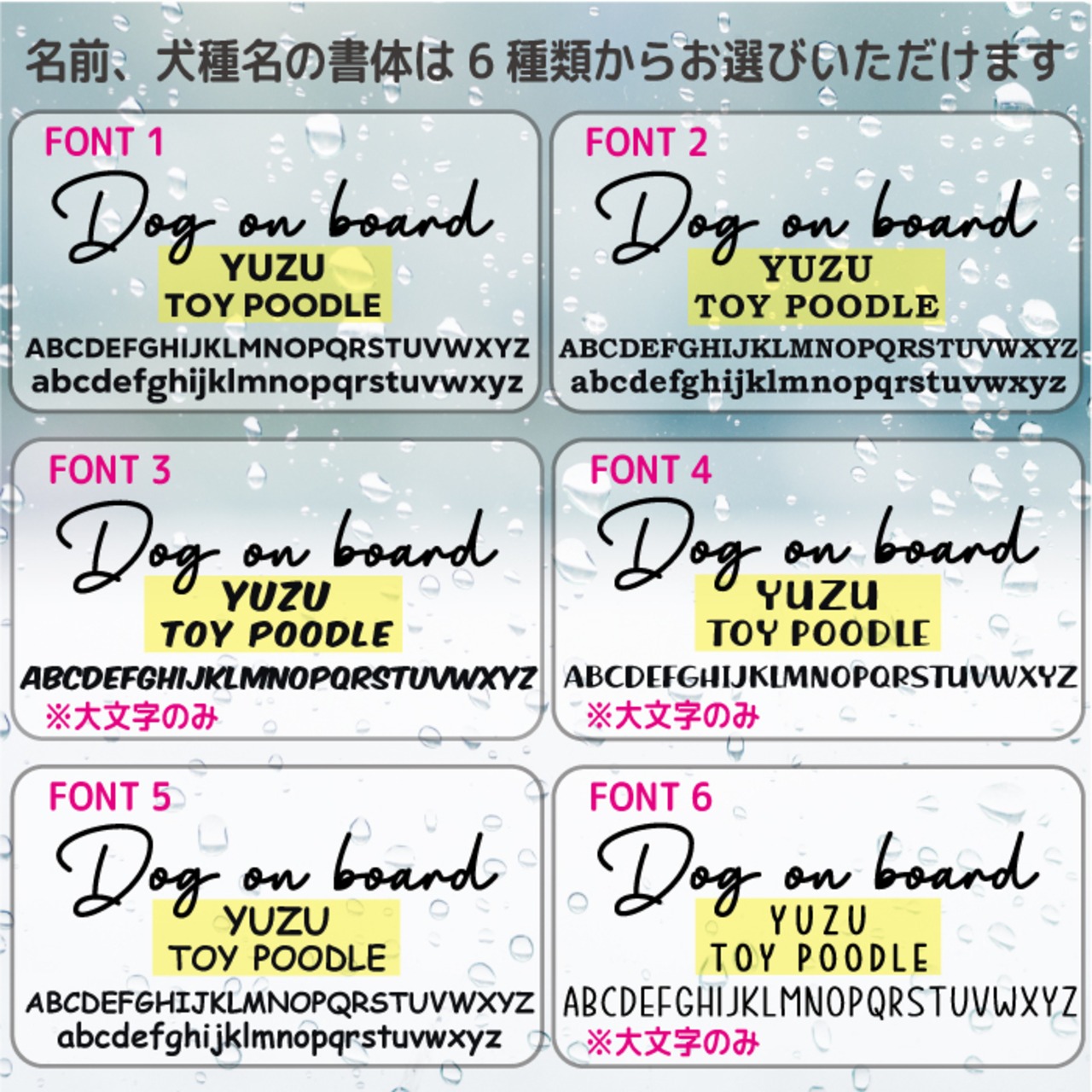 キャバリア ステッカー 車 シール 名前 おしゃれ かわいい グッズ オーダーメイド  筆記体 カッティング