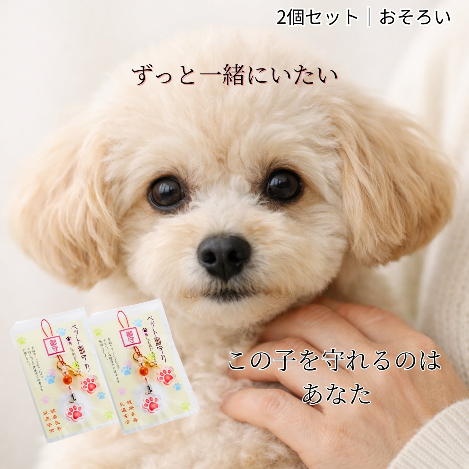 ペット御守り 肉球ネームプレート 2個セット｜犬 猫 交通安全 健康長寿