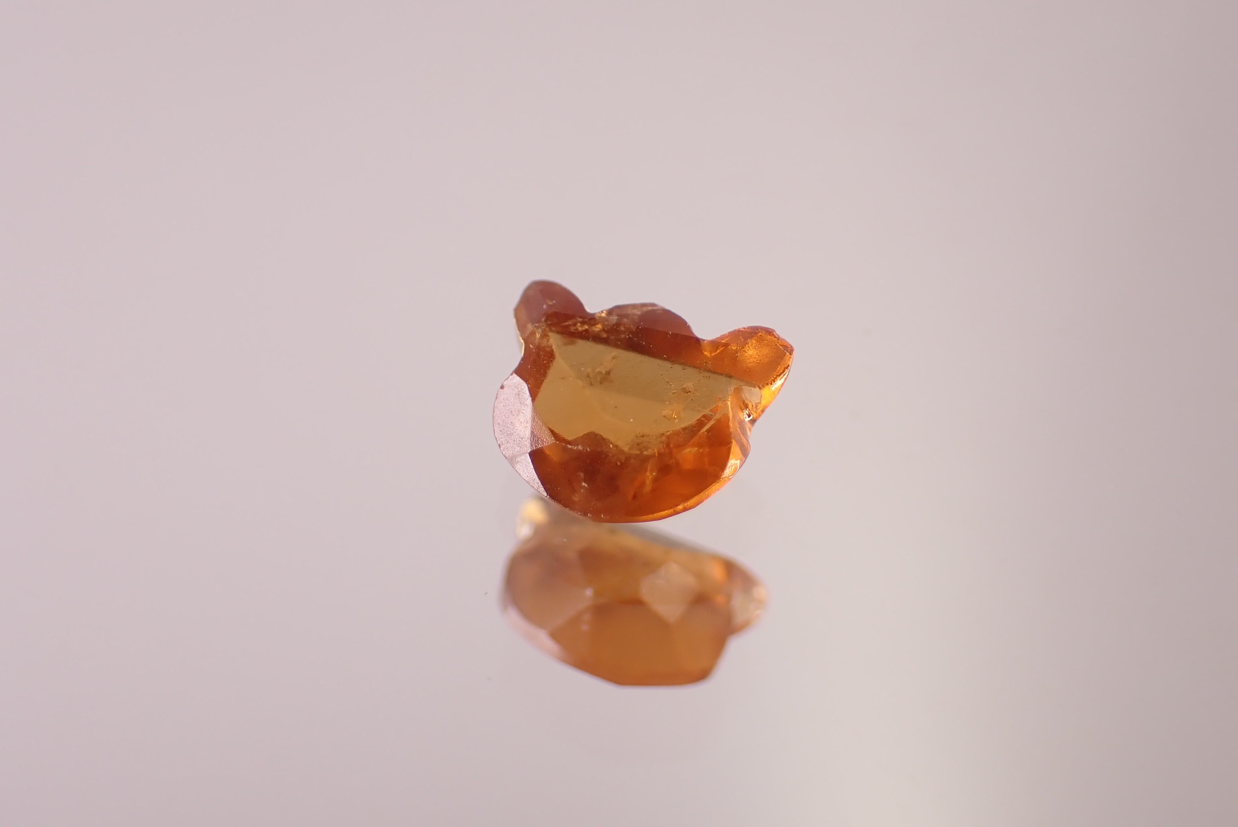 猫カット | differencee(ディファレンシー)