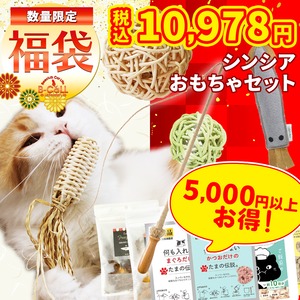 【シンシアコラボ おもちゃ福袋】オモチャセット福袋,猫じゃらし（スーパーロング）が入ったお得なパック！,合計15,000円以上相当の猫グッズ！人気オモチャ！人気おやつ,グッズ,ウェットフード