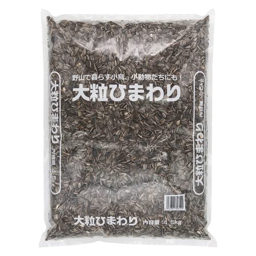 特殊天然鉱石 環境ダイヤ® ブラック 500g（水用） | PAY ID