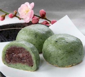 布野のあんこ餅 6個入り 布野のあんこ餅 6個入り
