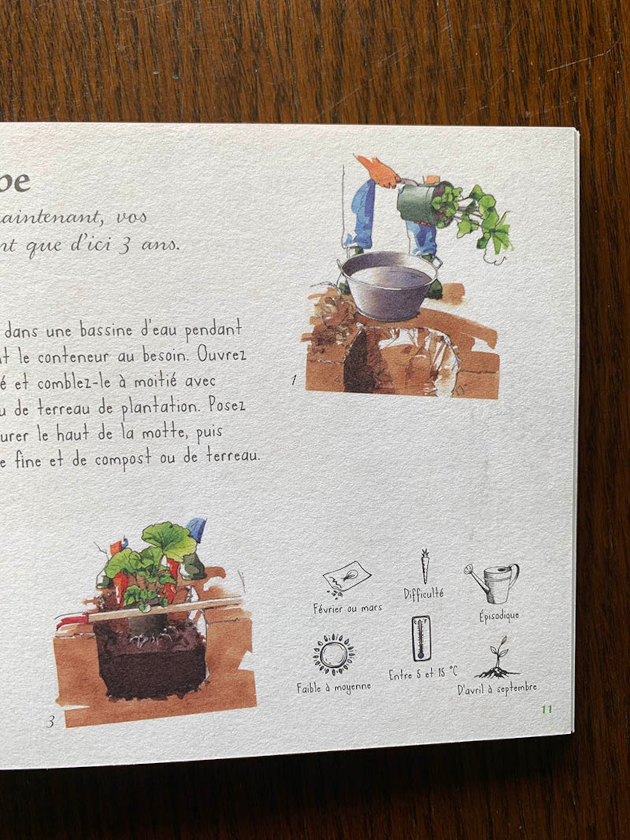 フランス古本　LE JARDIN BIO ガーデニング 12psbw43