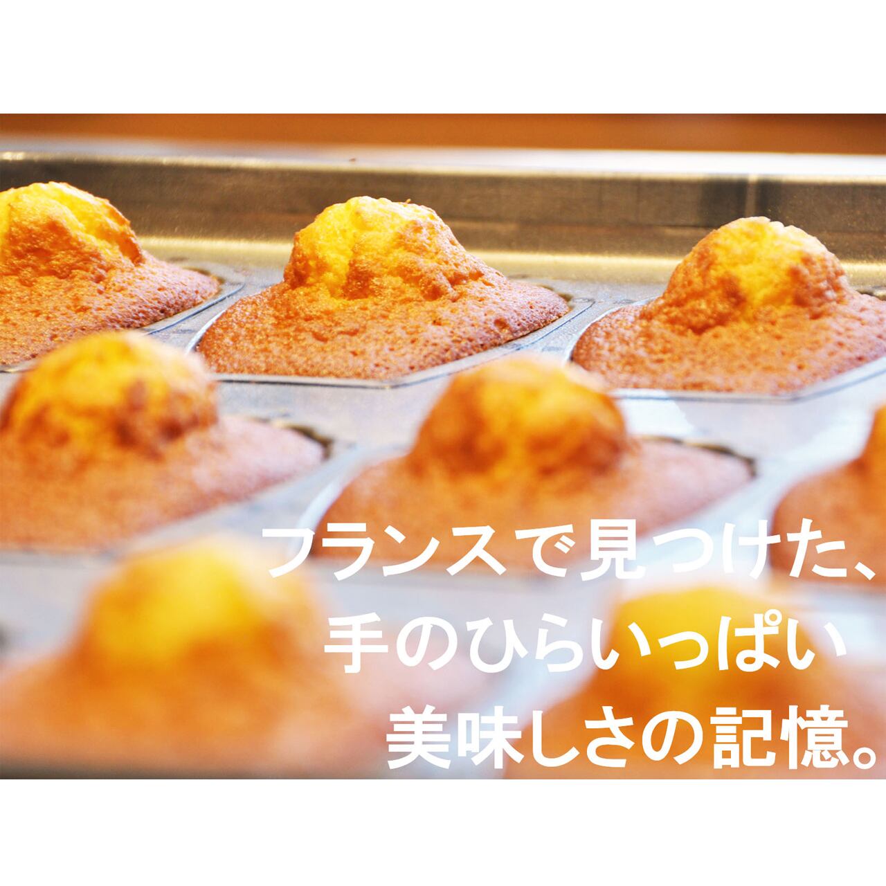 マドレーヌ【ハンブンコ】 4個入×2箱 | アイスケーキや焼き菓子のお