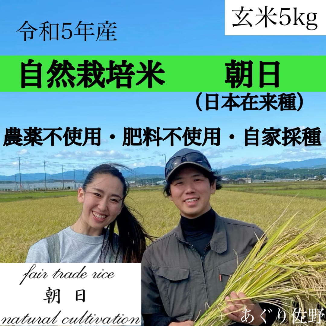 令和5年新米 自然栽培米 朝日 玄米20kg 農薬不使用・肥料不使用-