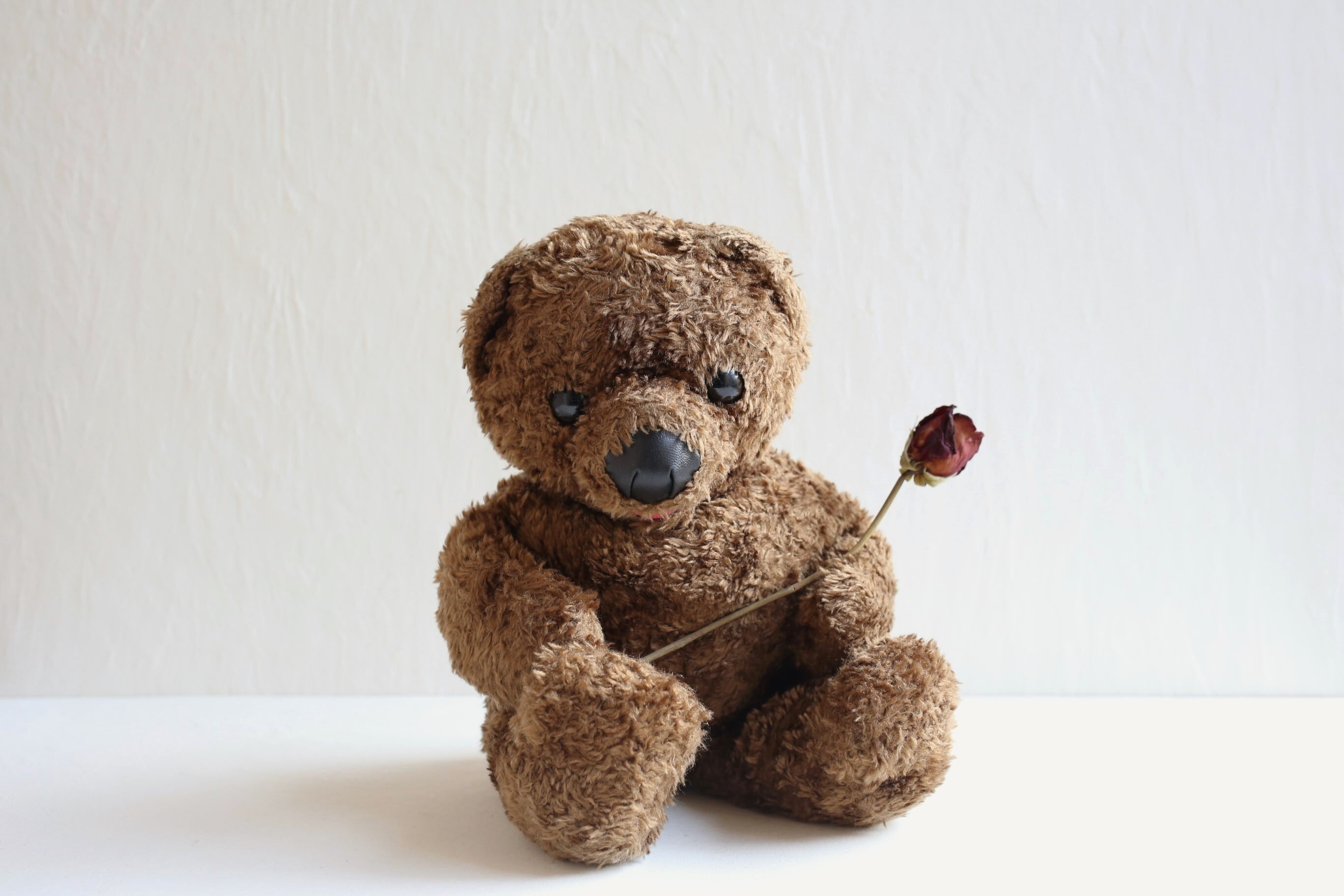 フランス アンティーク ヴィンテージ bonne nuit les petits ”Nounours” テディベア ぬいぐるみ N-04898