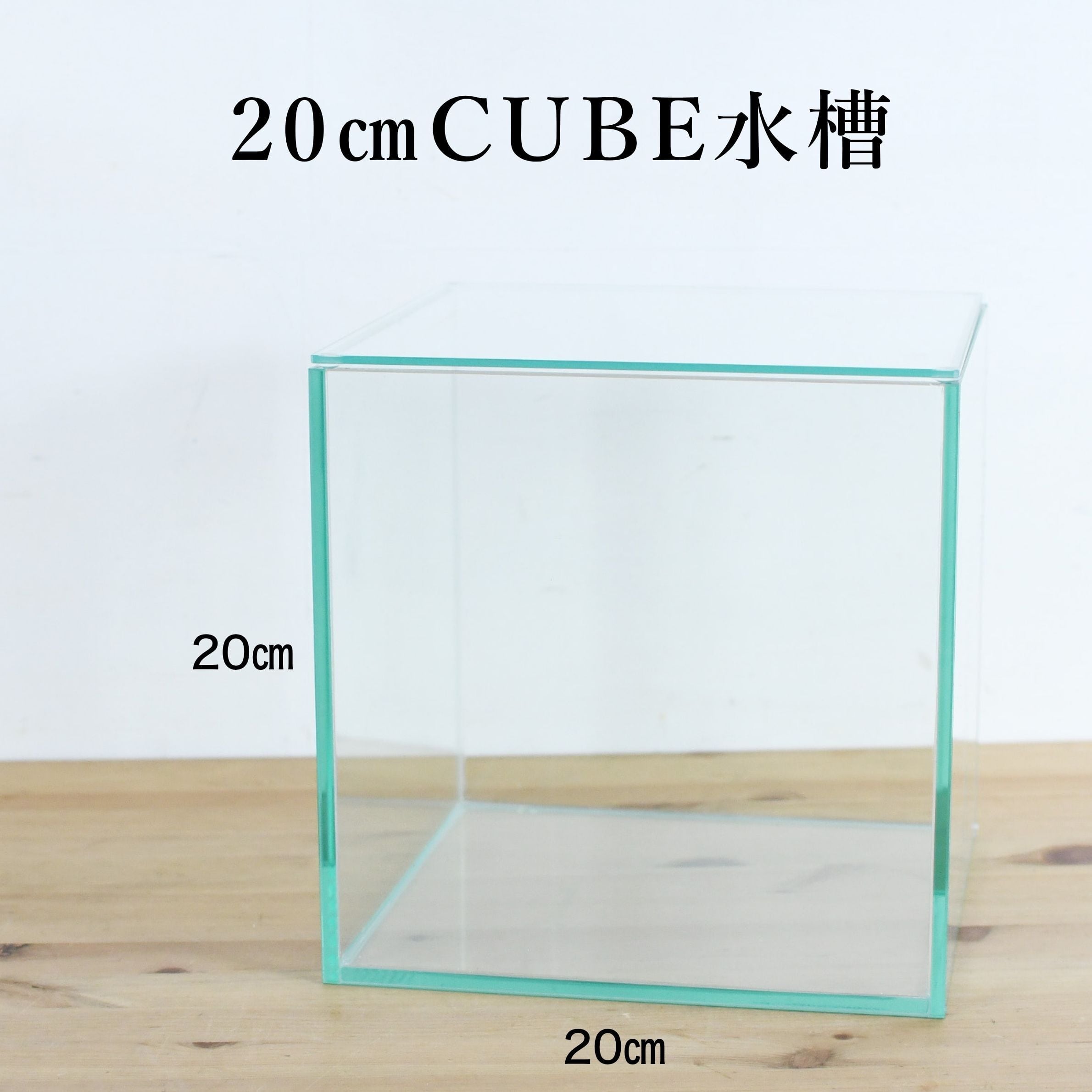 ガラス容器】 苔テラリウム用 20cmCUBEガラス水槽 （20㎝ × 20㎝ × 高