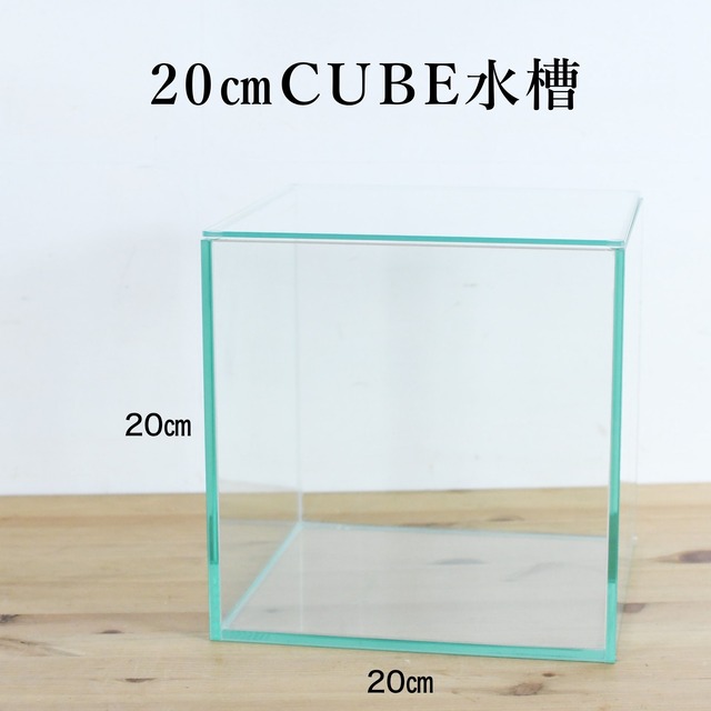 【ガラス容器】 苔テラリウム用 20cmCUBEガラス水槽 （20㎝ × 20㎝ × 高さ20㎝）◆立体的なレイアウトに