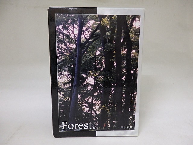 Forest。　/　田中宏輔　　[18743]