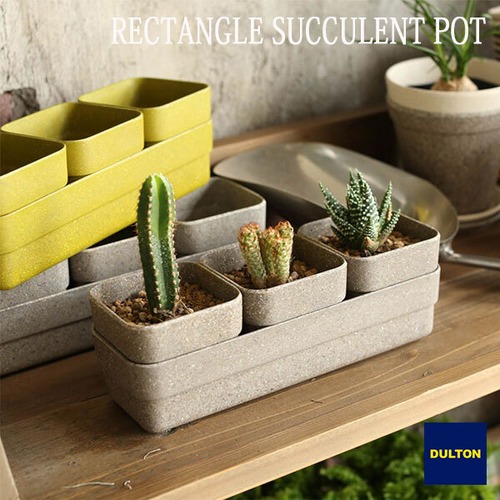 BOTANY RECTANGLE SUCCULENT POT ボタニー レクタングル サキュレント ポット 植木鉢 自然由来 ダルトン DULTON